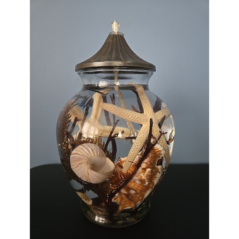 Lifetime Candles White River Designs Seashell Large Cylinder Oil Candle.